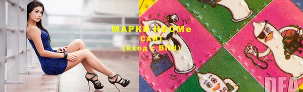 прущие грибы Медногорск