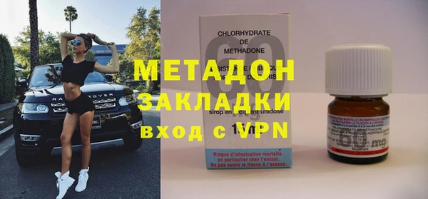 прущие грибы Медногорск