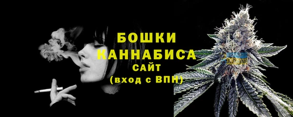 прущие грибы Медногорск