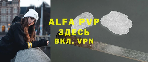 прущие грибы Медногорск
