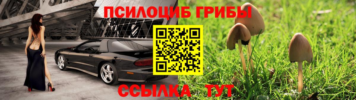 Тула  Псилоцибиновые грибы мицелий  Галлюциногенные грибы GOLDEN TEACHER  Вход с VPN 